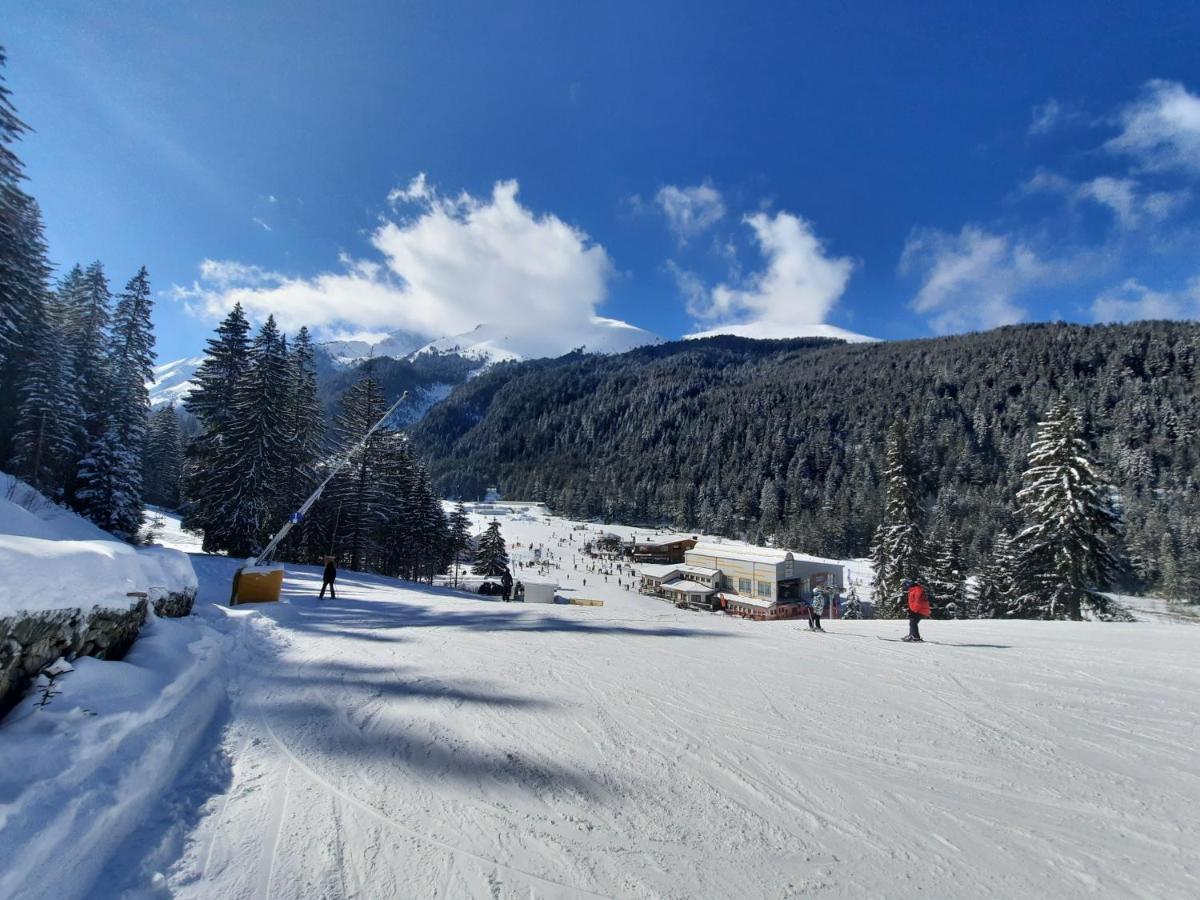 Apartment In Aspen Golf Бансько Екстер'єр фото